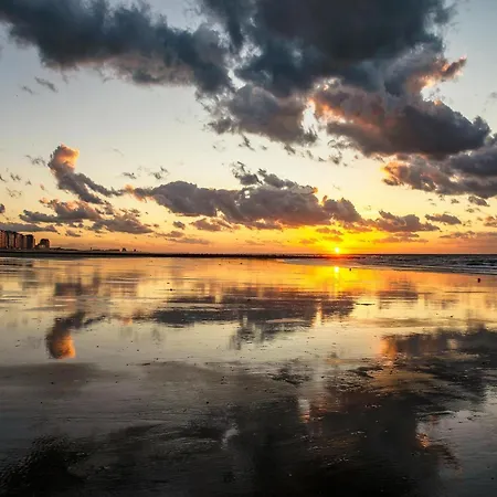 Spacious With Garage And Sea View Daire Middelkerke